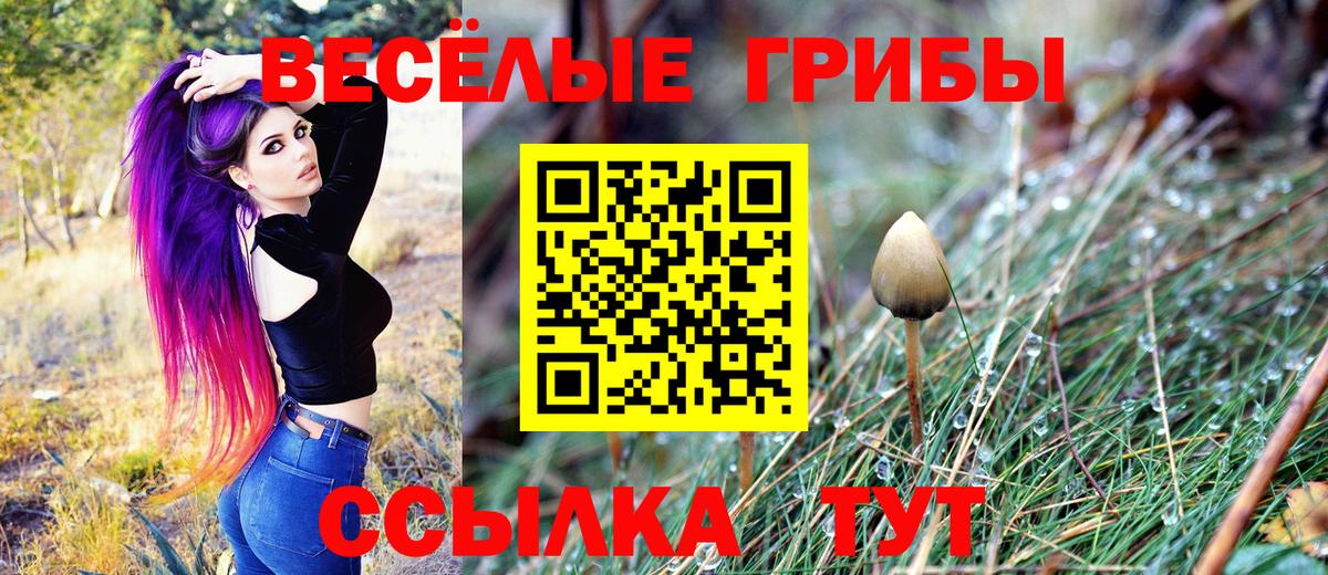 Каспийск  Псилоцибиновые грибы мухоморы  Вход с VPN 